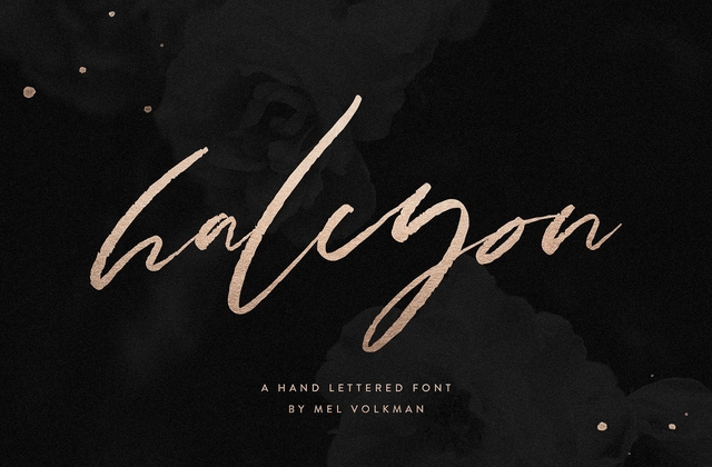 Halcyon Brush Font preview